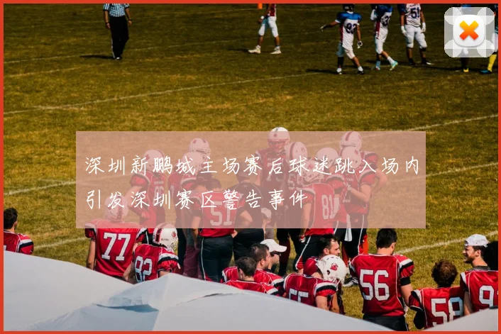 深圳新鹏城主场赛后球迷跳入场内引发深圳赛区警告事件