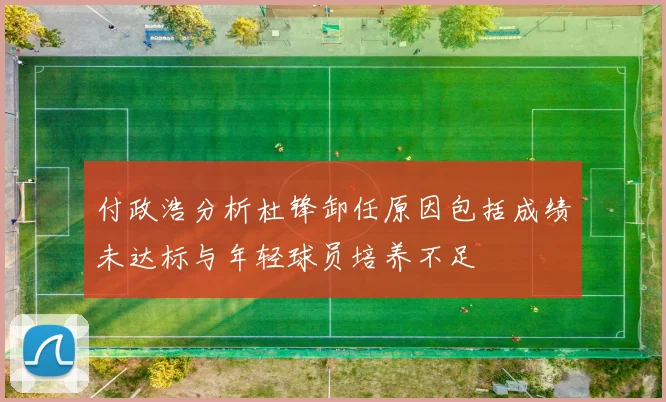 付政浩分析杜锋卸任原因包括成绩未达标与年轻球员培养不足