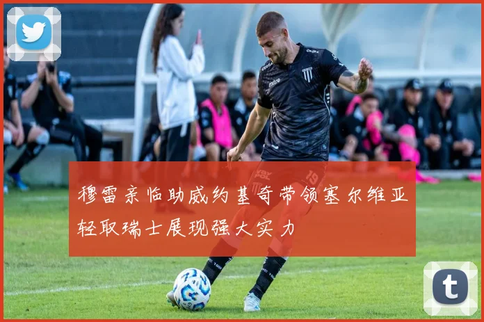 穆雷亲临助威约基奇带领塞尔维亚轻取瑞士展现强大实力